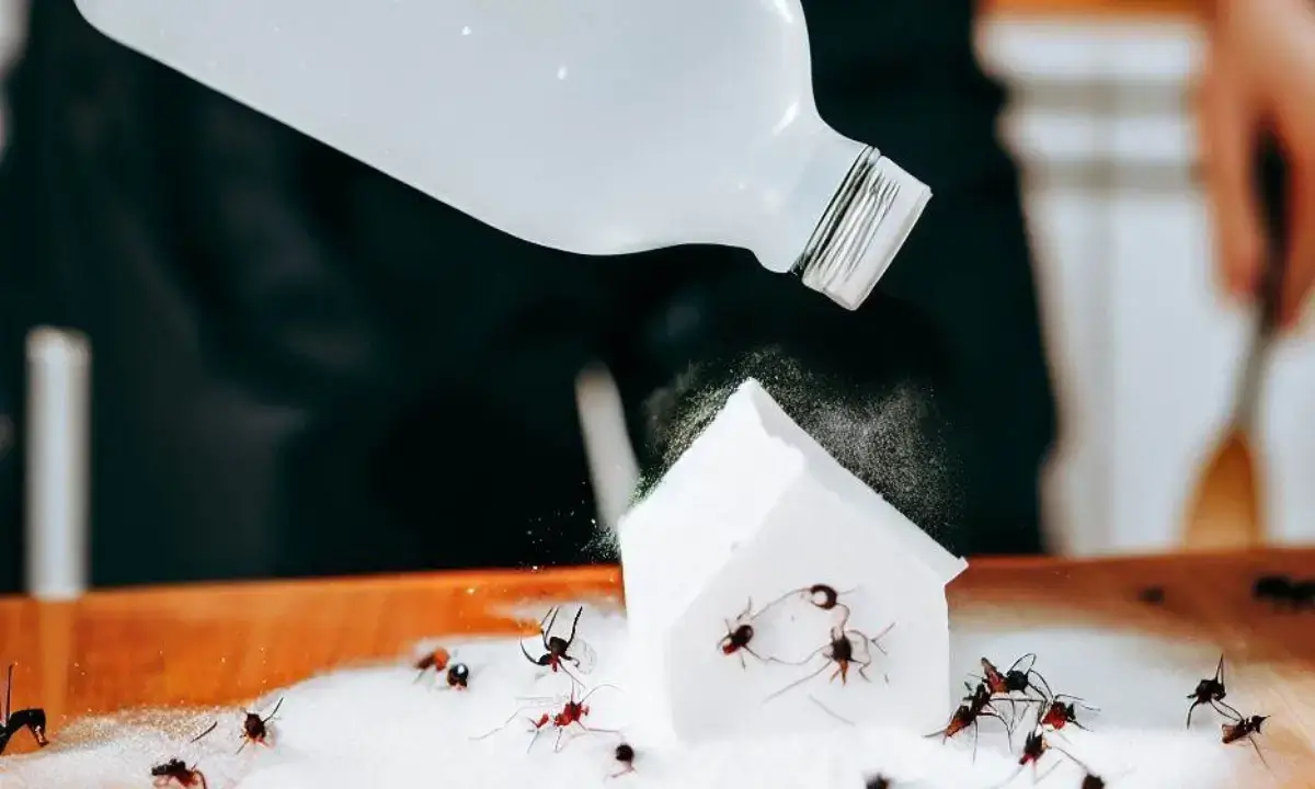 How to Get Rid of Ants in the Kitchen with Baking Soda